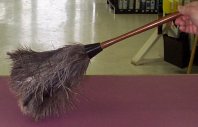 FEATHER DUSTER WITH OSTRICH FEATHERS 12 inch total length